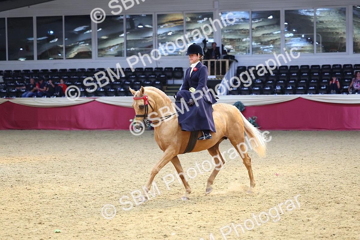 SBM_24370 - Class 906 - Supreme Final - Ridden Pre Vet