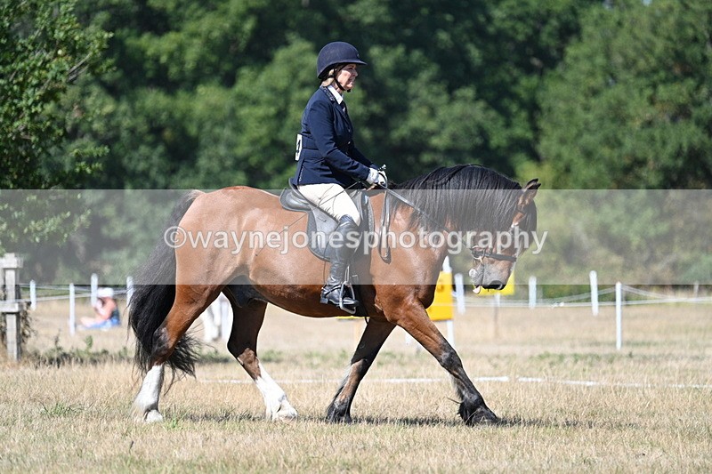 WJ7_0752 - Time 12:03 to 12:23