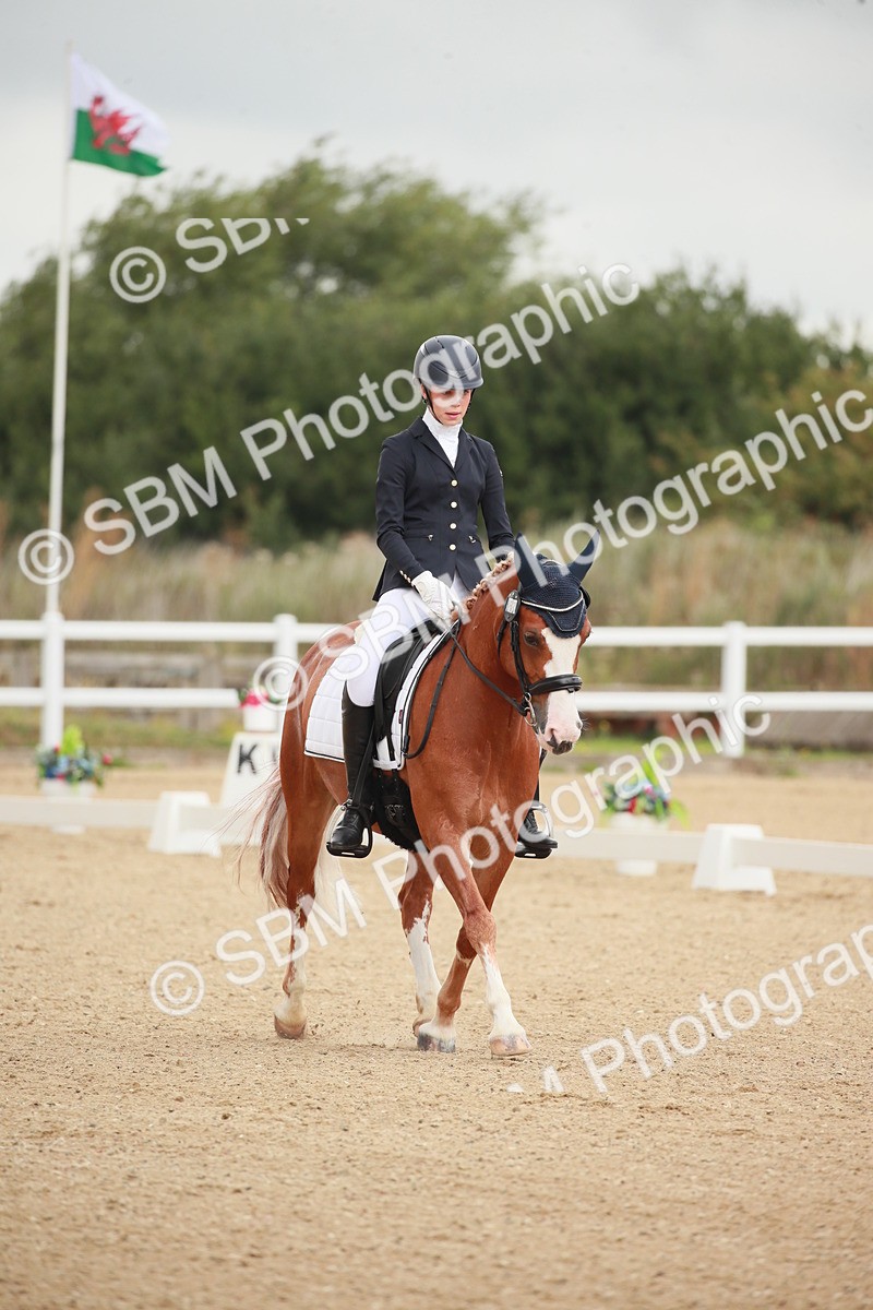 SBM_003285 - Class 2 - Prelim 6 - 10.11.10