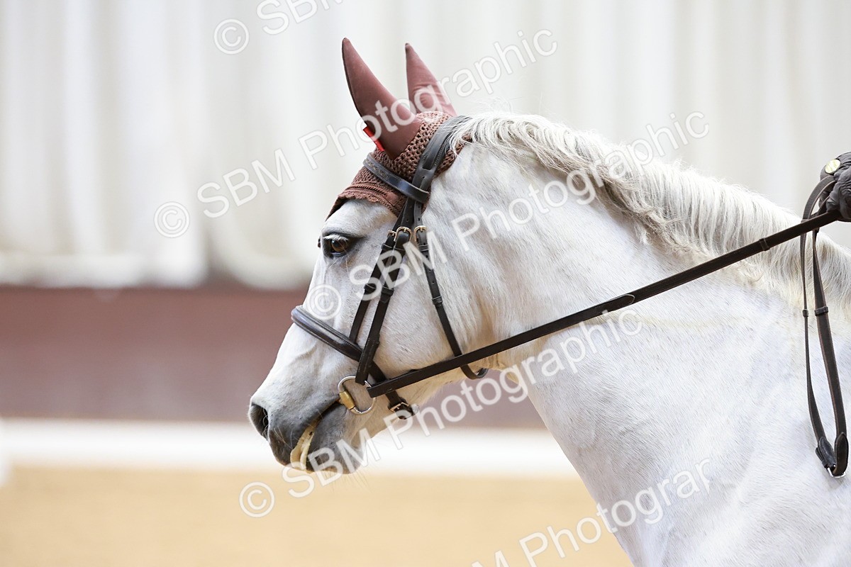 SBM_003520 - Class 15-16-18 - Novice 3-Elementary 1-PYO