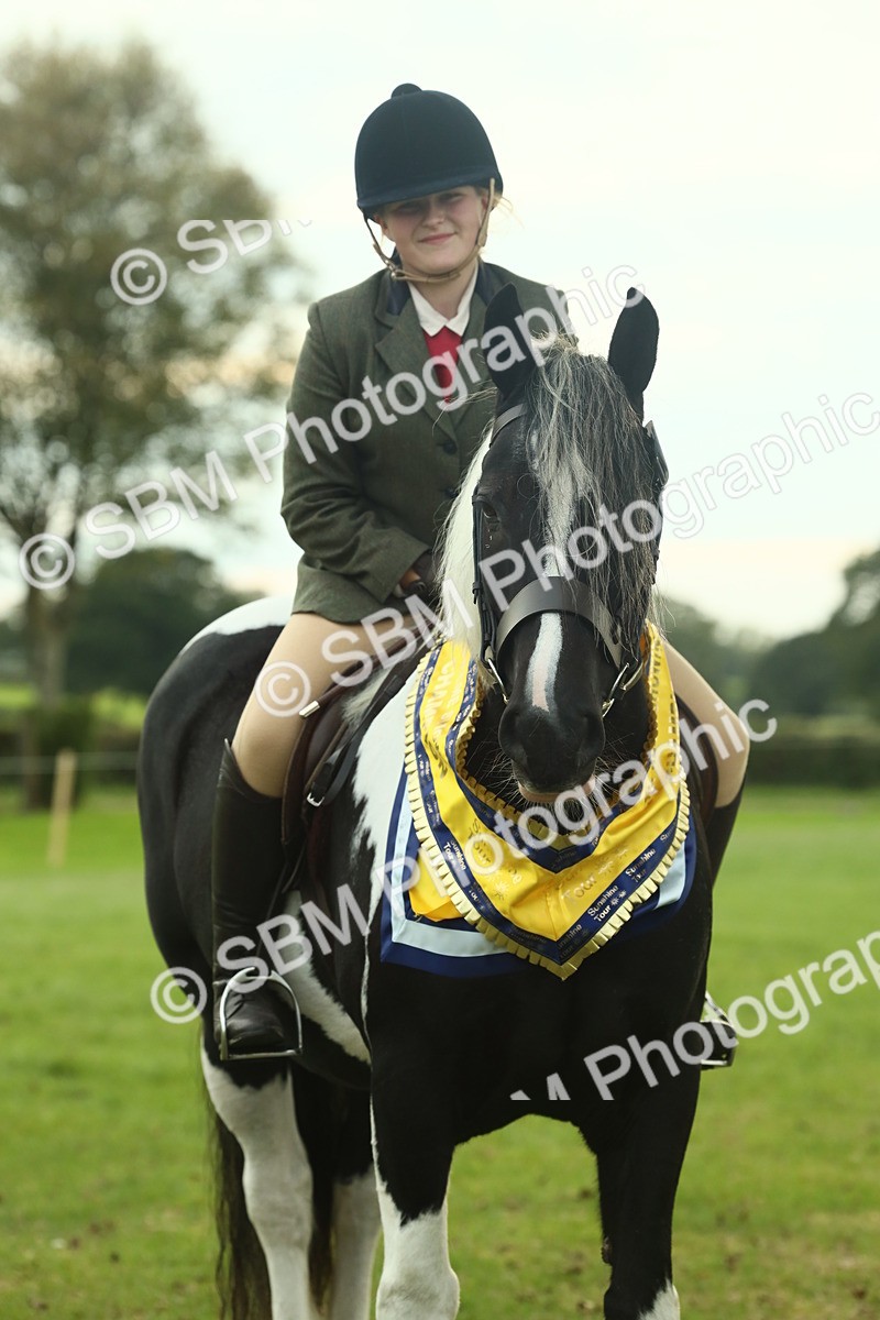 SBM_75318 - Super Supreme Championship