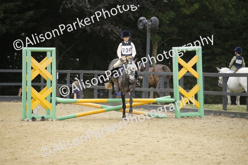 20250622-6204 - 60cm