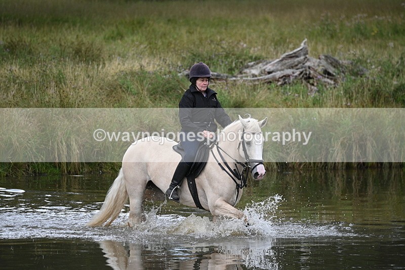 WJ7_4325 - Time at Water 12:52 to 13:22