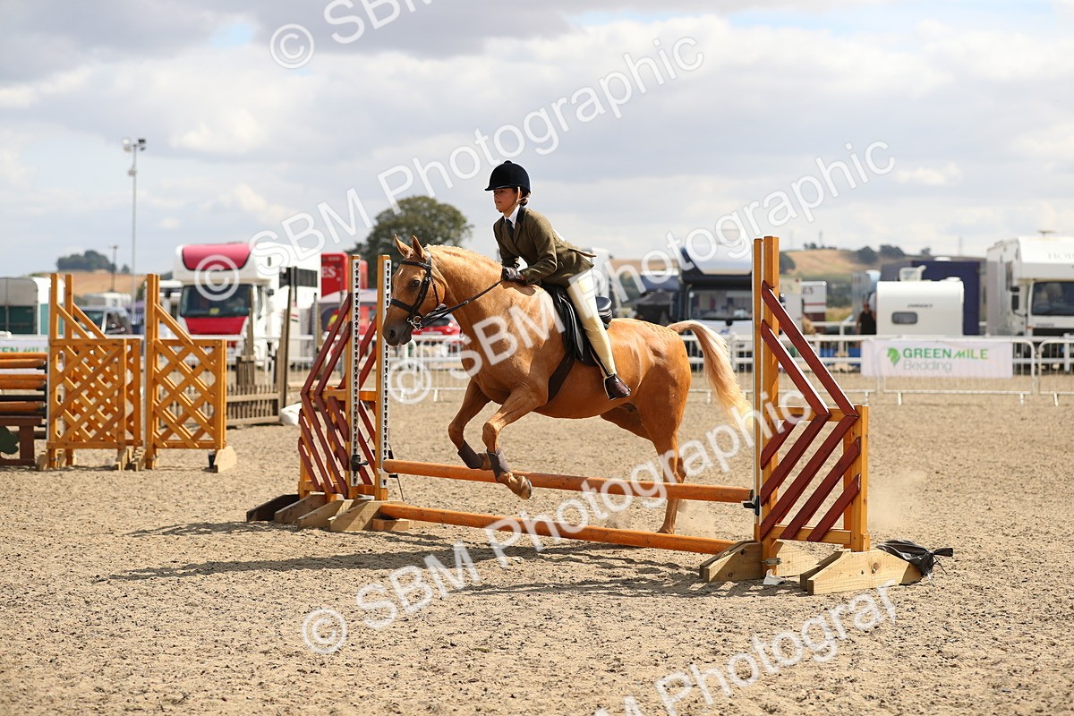 SBM_04196 - Class 46a Style & Performance 50cm (15-19)