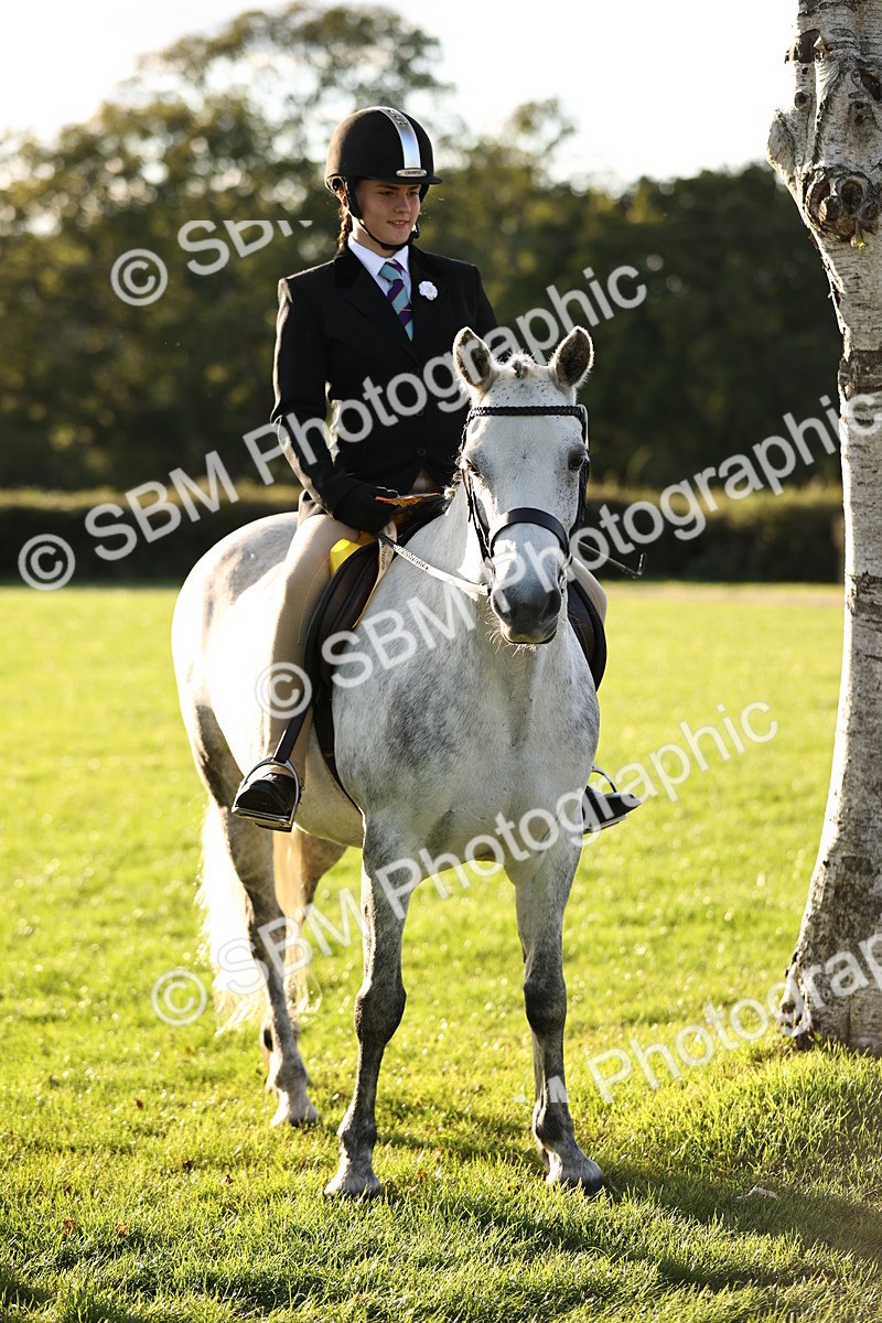 SBM_29653 - S7 - Novice & Newcomers Ridden Pony