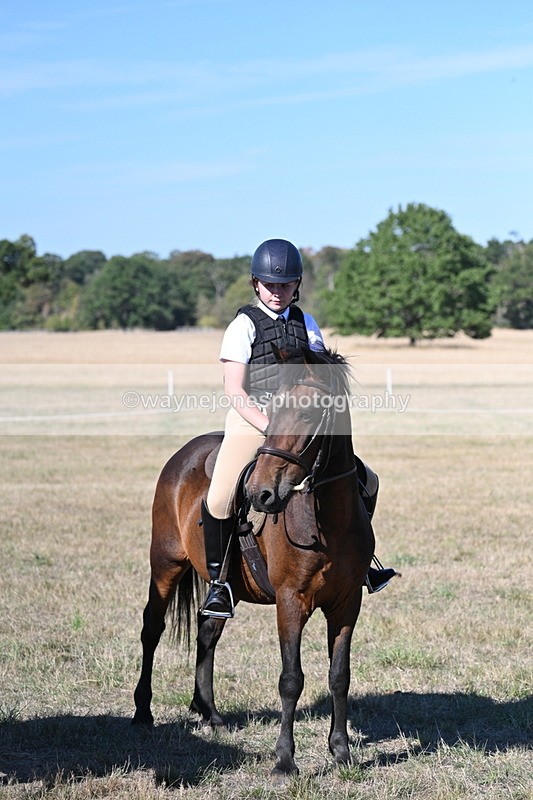 WJ7_2199 - Class 44 Child's Best Friend