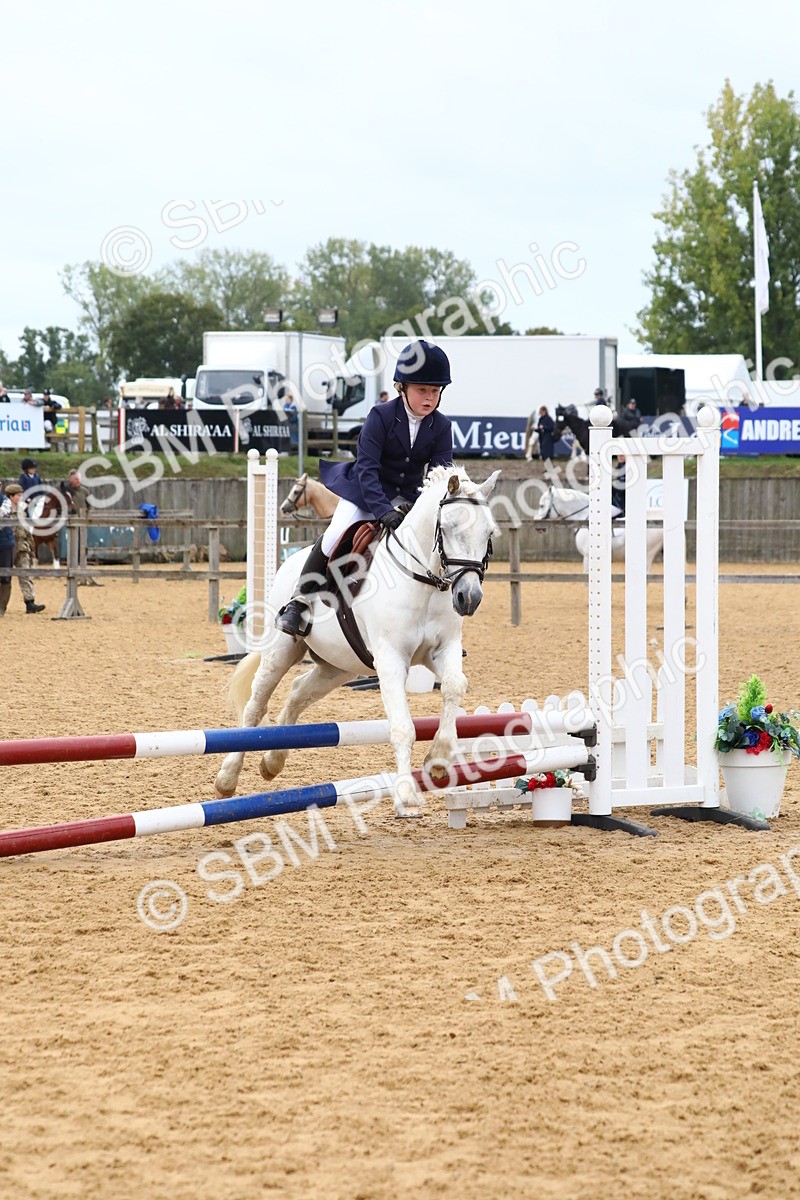 SBM_60045 - J63 - Junior Pony 50cm Championship