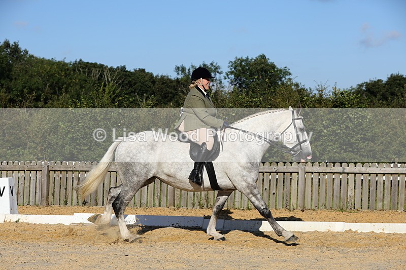1X9A7577 - Class 7: Novice Ridden Hunter/Hack/Cob/Riding Horse