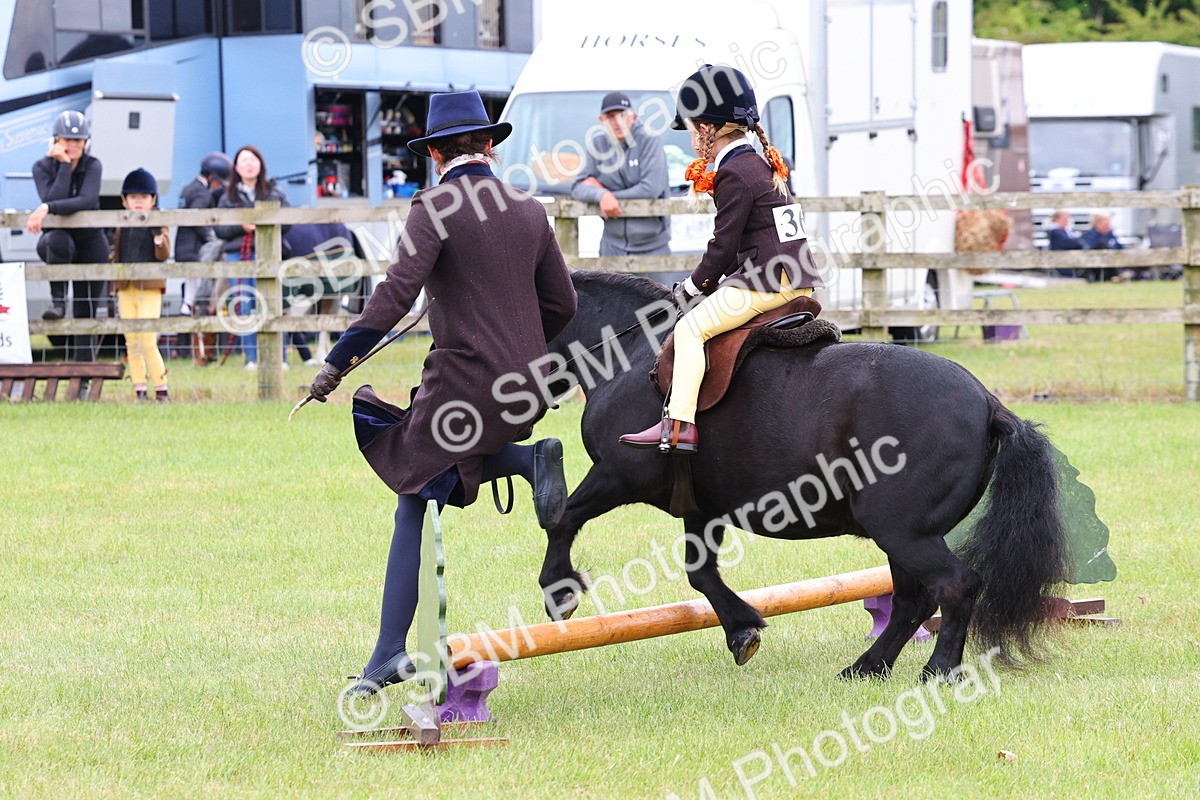 SBM_08160 - Class 42-43 - LIHS BSPS Heritage Working Sports Pony