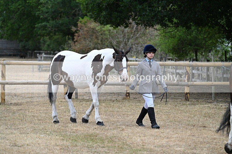 WJ7_8683 - Class 4a Prettiest Mare 14.2hh and over