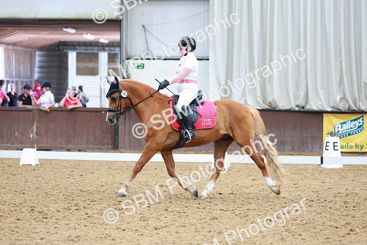 SBM_005856