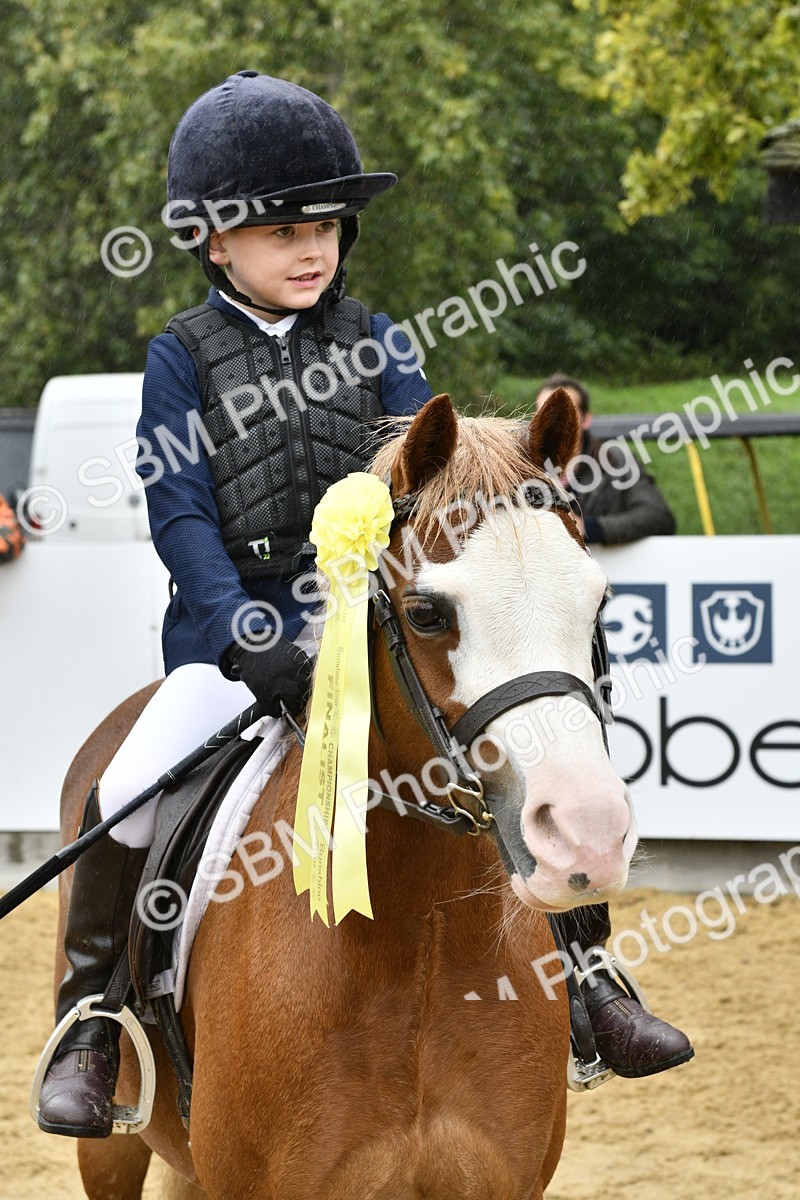 SBM_71002 - J3 - Mini Tour Junior Pony 40cm championship