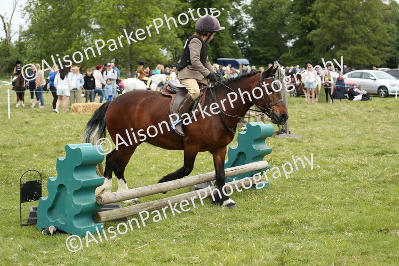 20250517-1165 - Class 21 - Novice Working Hunter
