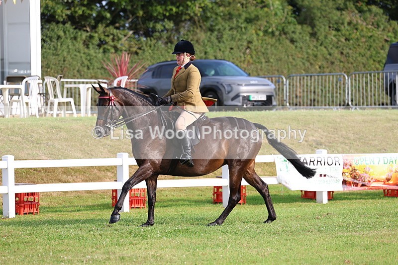 3E7A7727 - Class 1: Rising Star Small Hack/Riding Horses