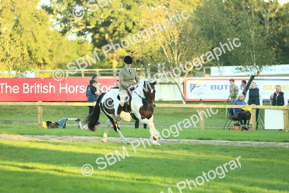 SBM_56497 - S14 - Riding Club Horse
