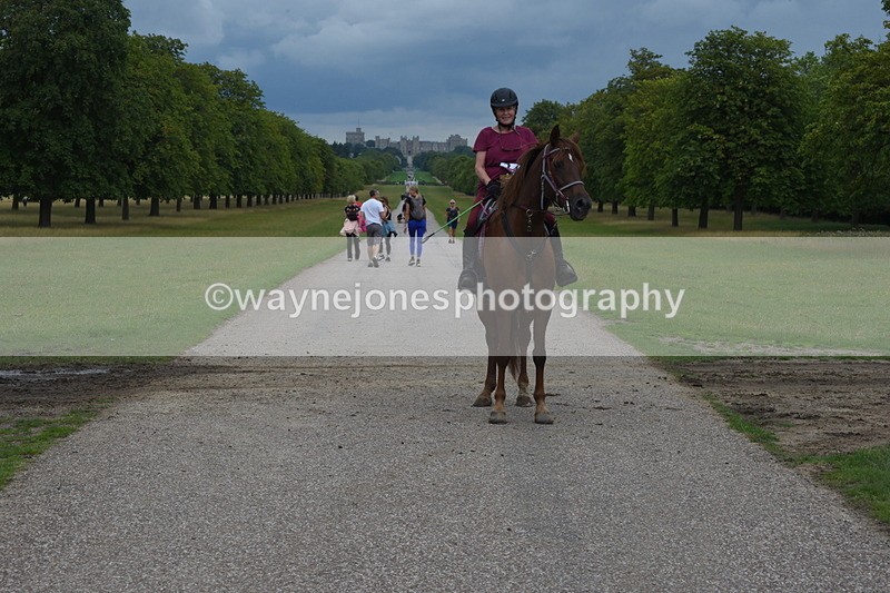 TT3_9372 - Time at Crossing 11:28 to 13:16