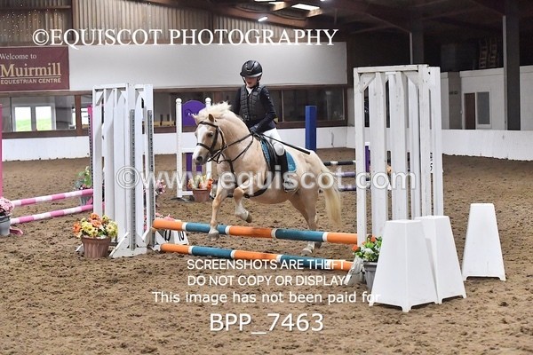 BPP_7463 - 40CM WORKING HUNTER