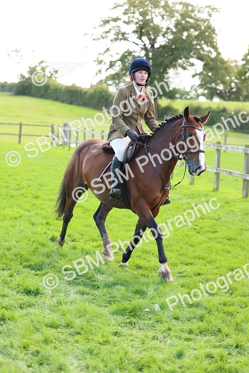 SBM_45510 - S33 - Working Hunter Pony