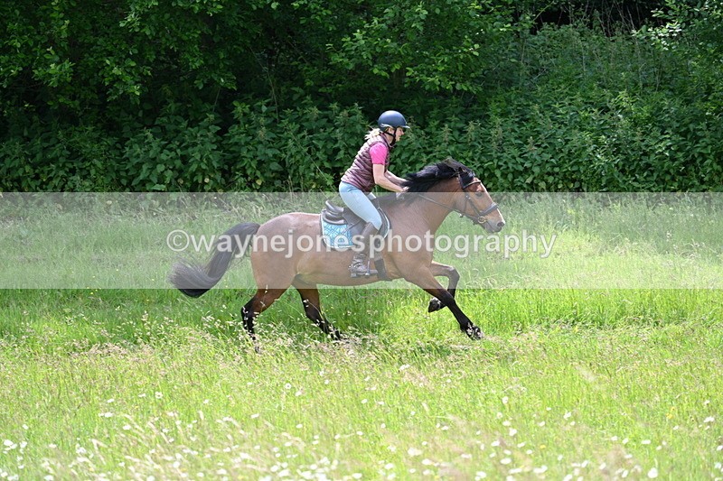 WJ7_8851 - Group 4 11am