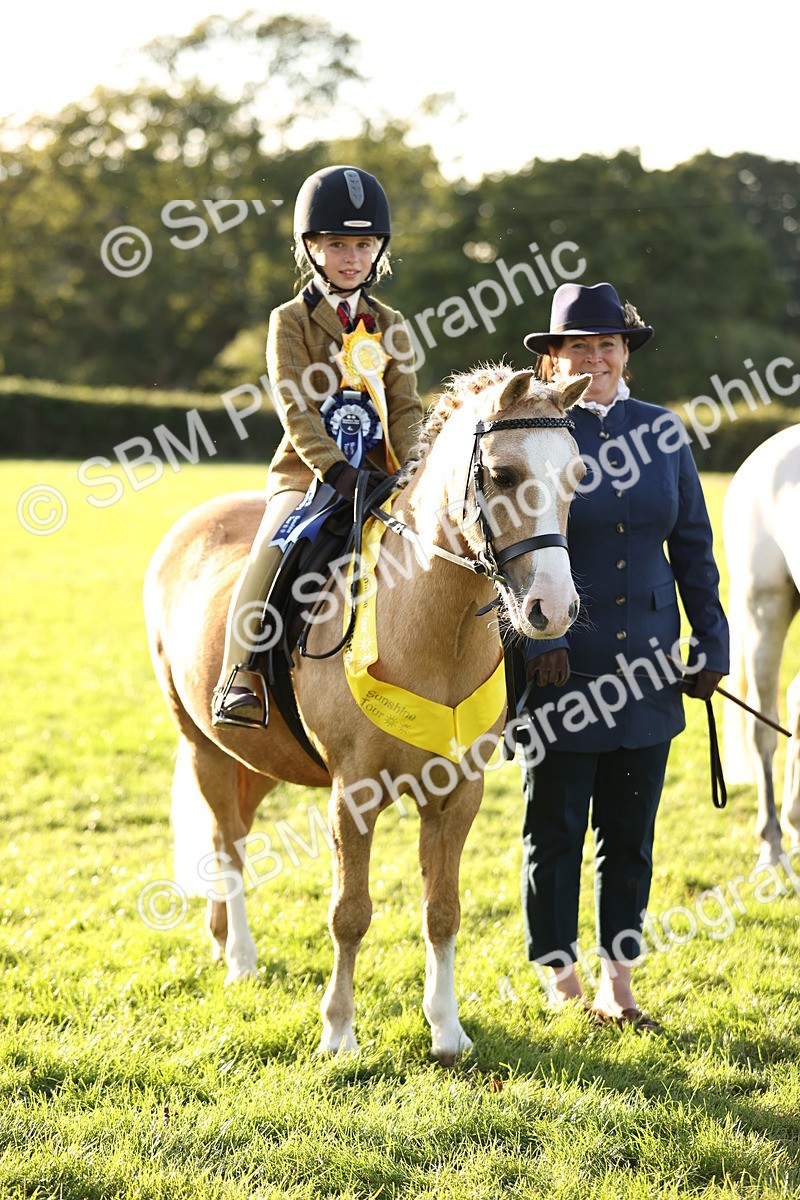 SBM_30147 - Novice & Newcomers Supreme Championship