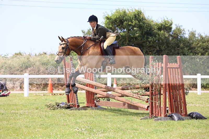 JPP_3738 - Class 23: Working Hunter 80cm