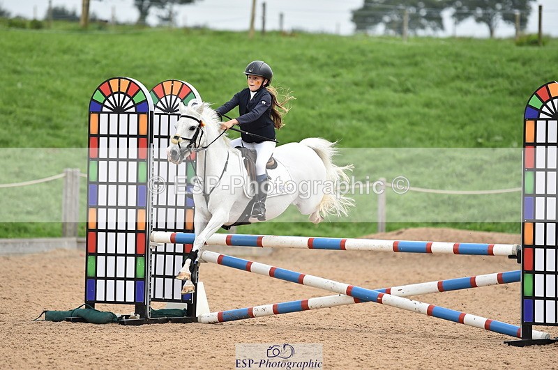 230902A-114916-00860 - Cls 2B Pony Small 80cm