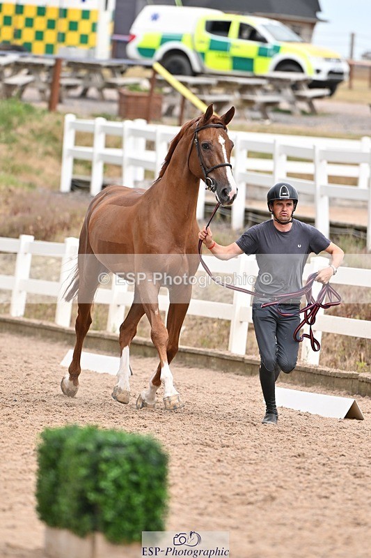 250716-162302-02605 - Trot Up 3.30 to 4.30