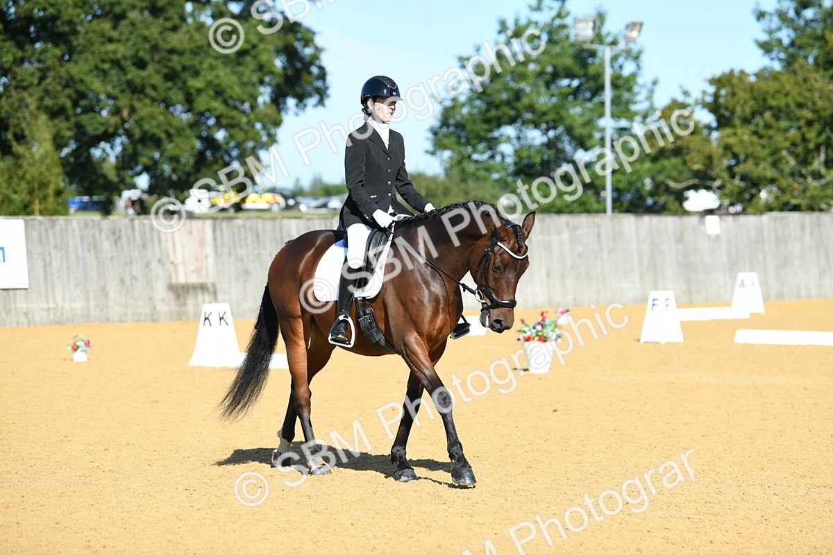SBM_18002 - D4 - Small Tour Championship - Intro B