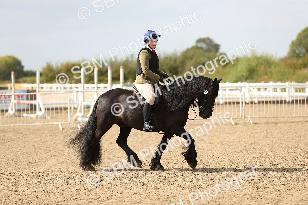 SBM_06854 - Class 49a Style & Performance 80cm (15-19)