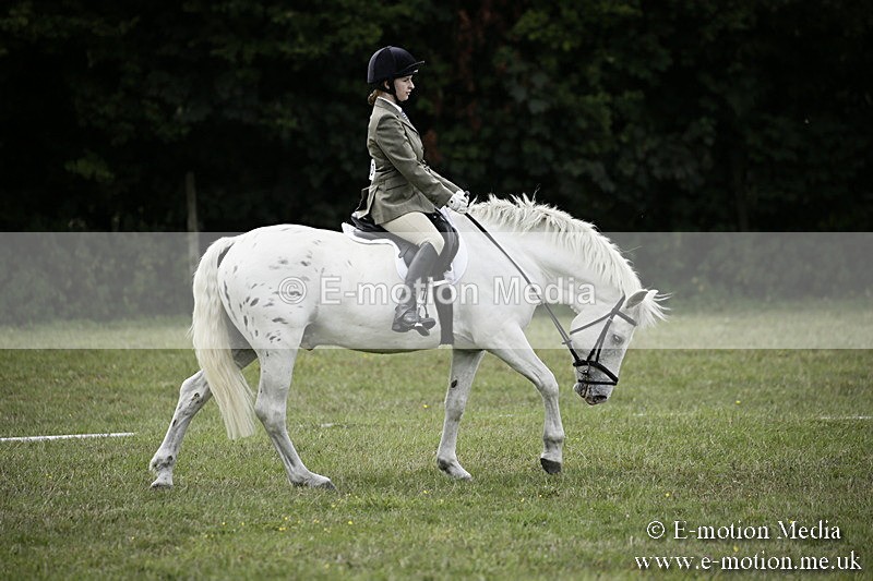 BVR080918 358 - BVRC Novice Dressage & CR 08/09/18
