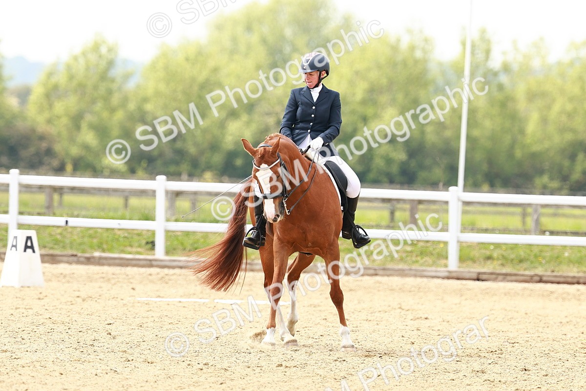 SBM_002868 - Class 12 - Medium 4