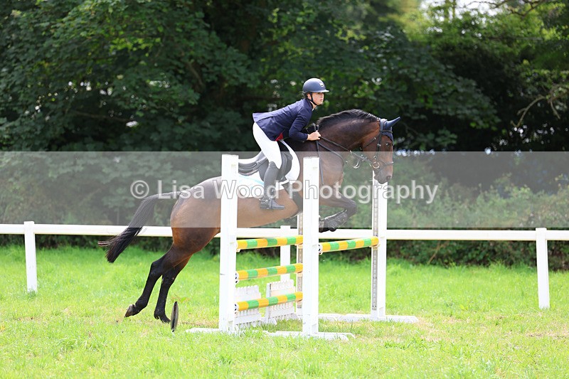 3E7A6973 - Class 5: Senior British Novice/90cm open