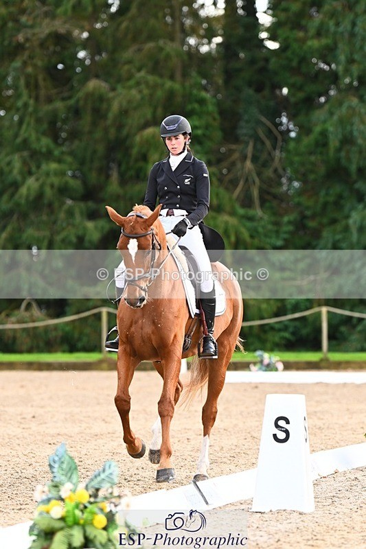 231021-162131-21103 - 265-EG.TIGER.CHILLI-Tayla.Mason-DR