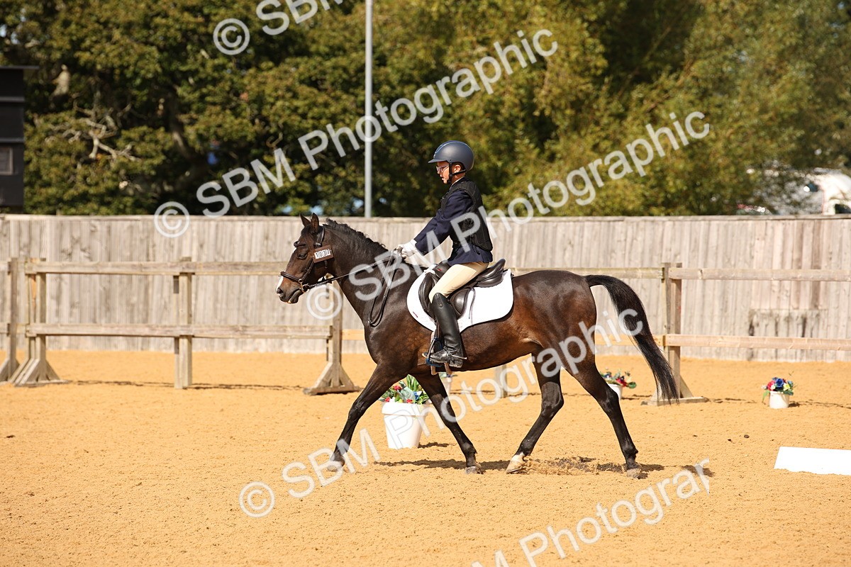 SBM_21822 - D5 - Small Tour Championship - Intro C