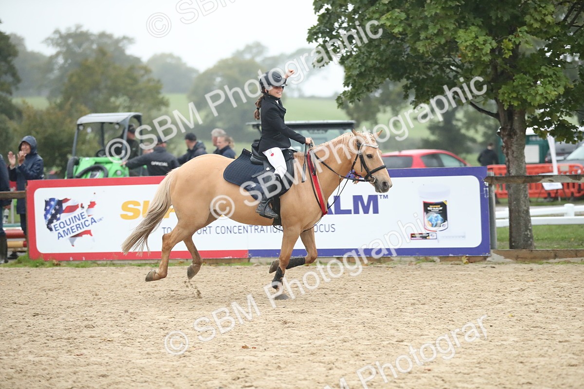 SBM_74335 - Supreme championship Junior Pony 70cm 75cm