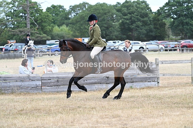 WJ7_0629 - Class 6 Ridden Mountain and Moorland
