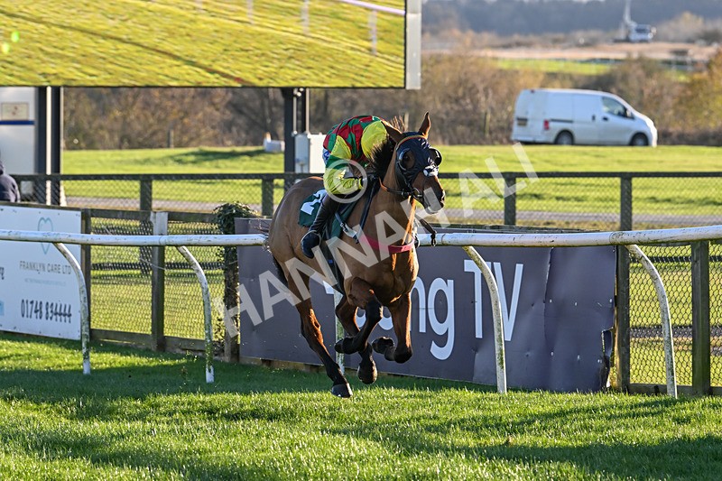 221124-Race 4-Duke Of Luckley-5146 - Race 4