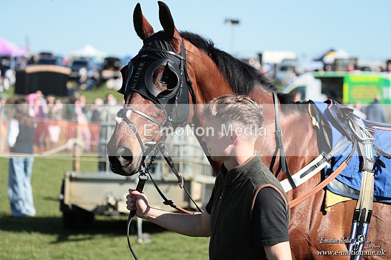 PtP 210326 220 - VWH Cirencester Races 21/03/26