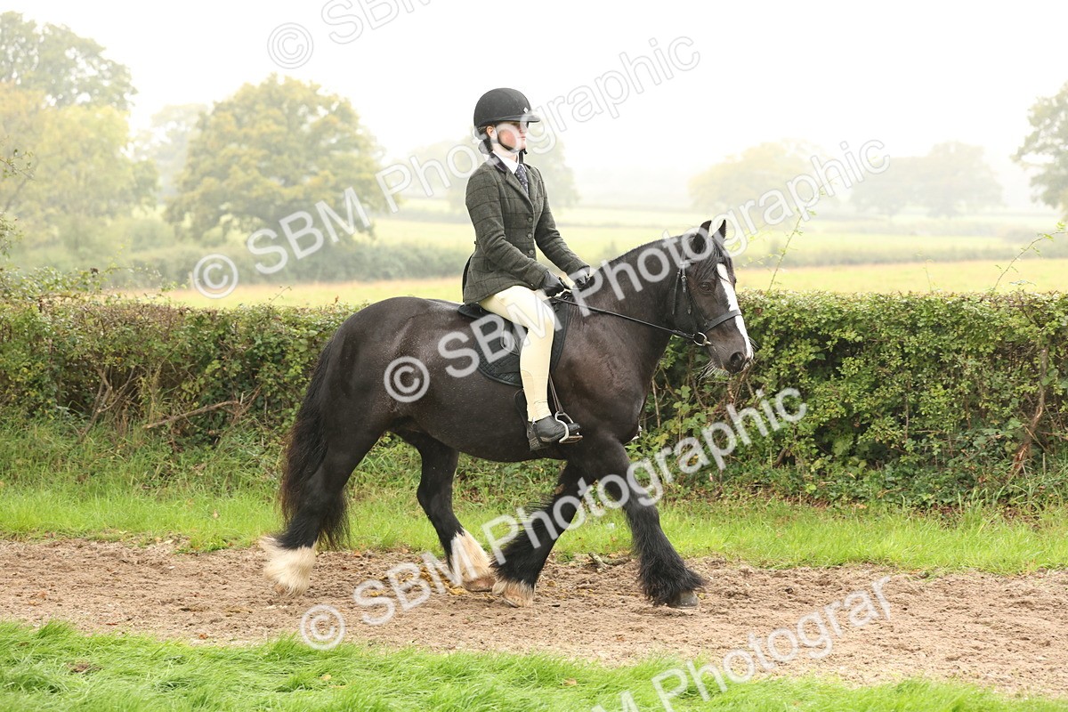 SBM_72679 - S70 - Traditional Cob Ridden
