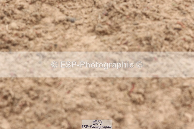 240714A-131746-02201 - Cls 26 & 27 Stepping stones & W-S 128