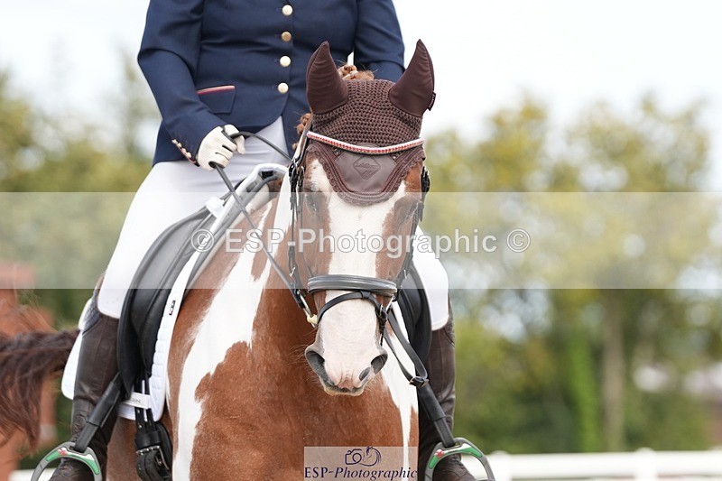 250906-131008-03539 - 016-Sarah.canningJohnny.Knoxville