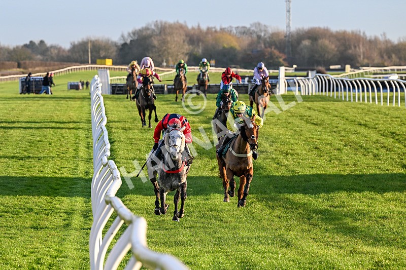 161225-Race 5-Somebodycomegether-8839 - Race 5