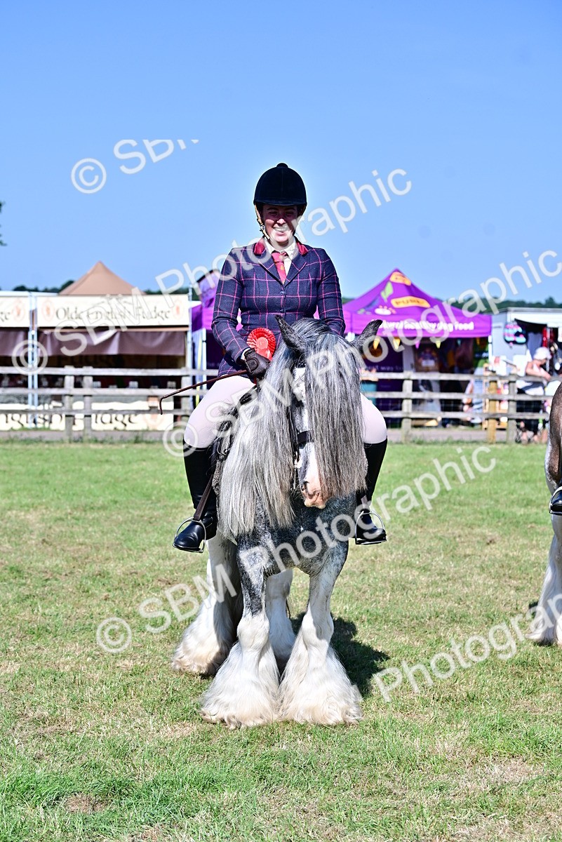 SBM_19460 - Class 101-102 - BSPS LIHS Performance Coloured Horse/Pony
