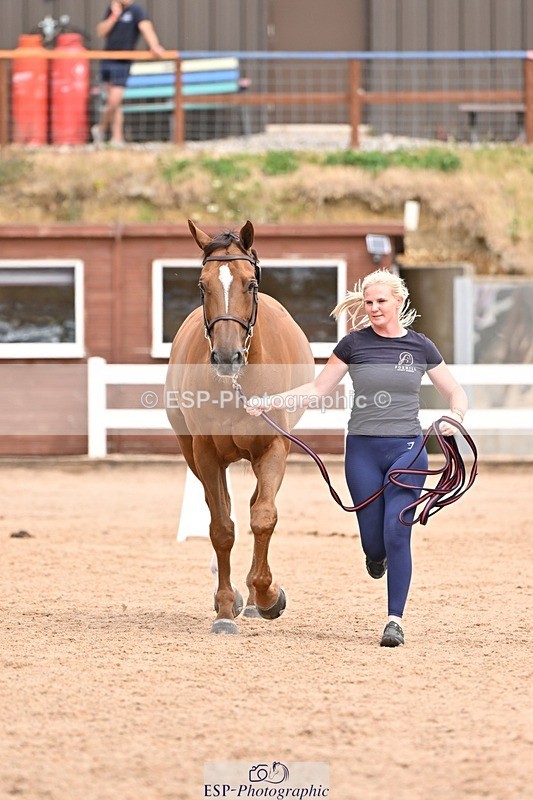 250716-154108-02112 - Trot Up 3.30 to 4.30