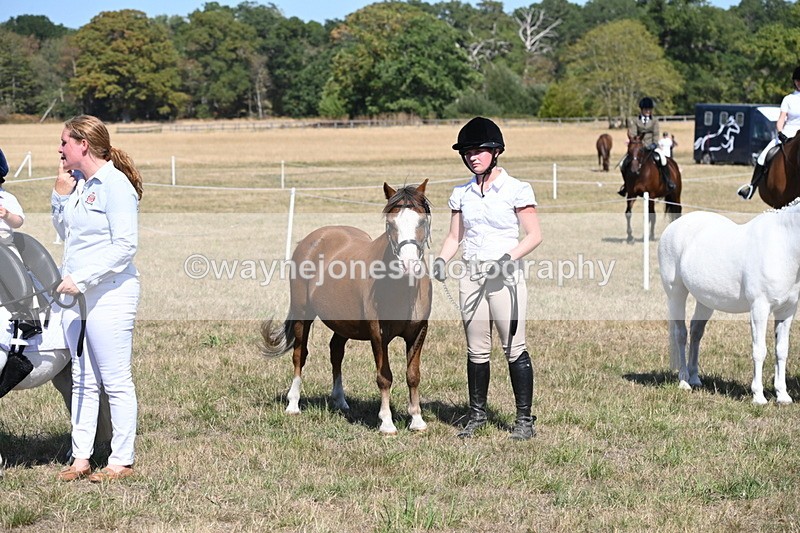 WJ6_9525 - Class 40 Cheekiest Pony/Horse
