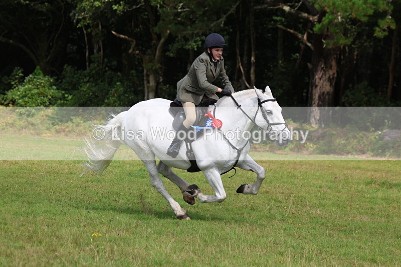 3E7A6118 - Working Hunter Championship