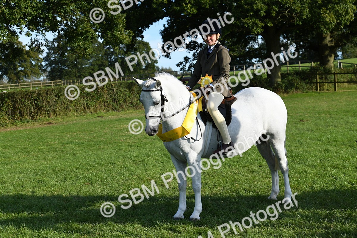 SBM_52435 - S22 - 1st Ridden Show & Show Hunter Pony