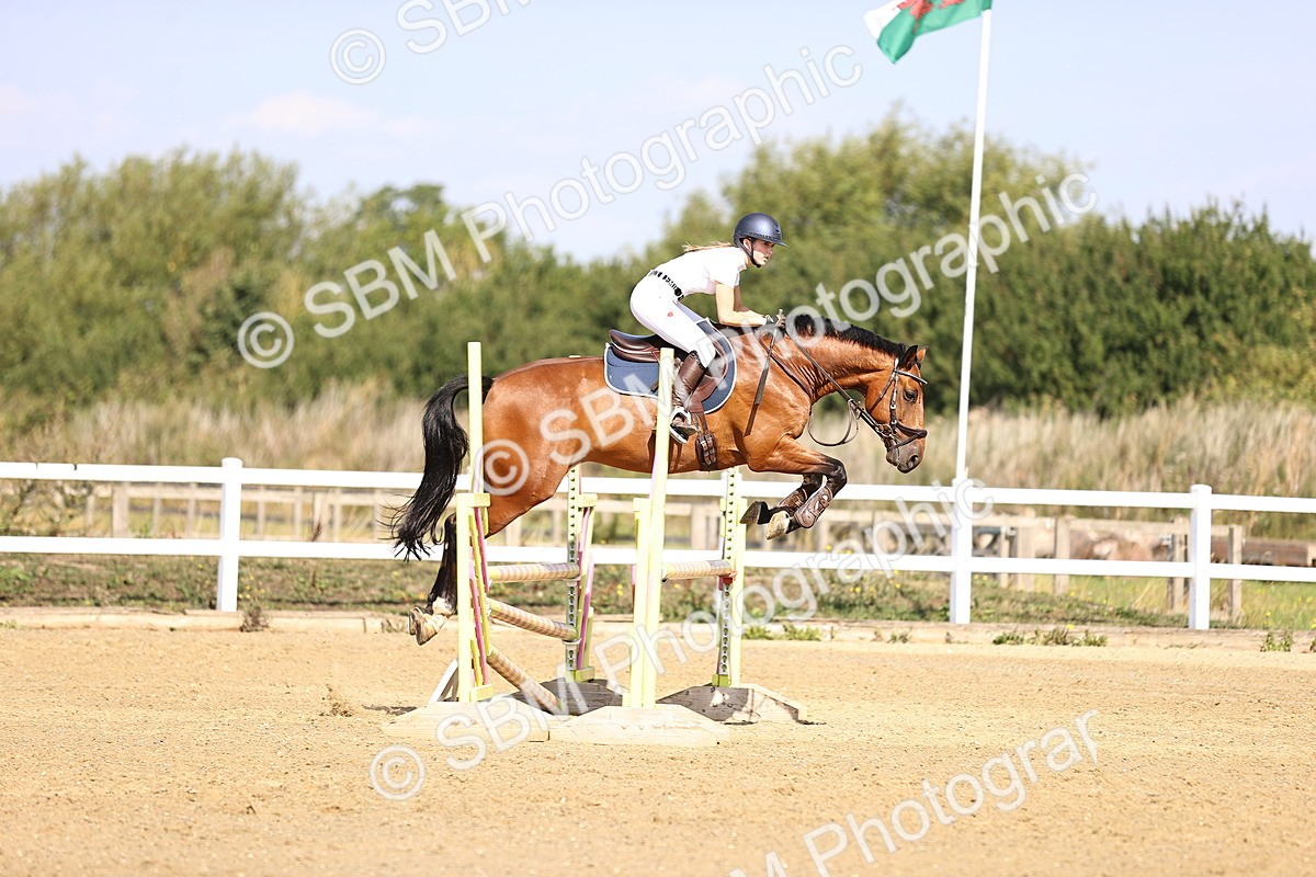 SBM_005622 - Class 9 - Senior British Novice - 90cm