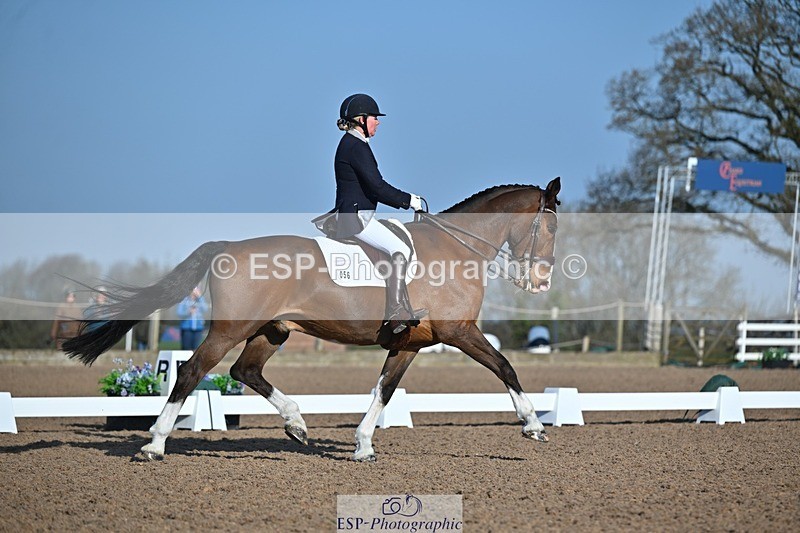 250405-080659-09296 - 056-Sally.Bell-Hilton.VI