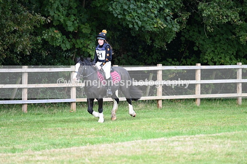 WJ7_8003 - 40cm Time 10:49 to 11:18